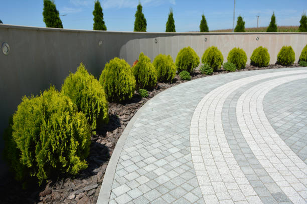 Best Residential Paver Driveway  in Angustura, NM