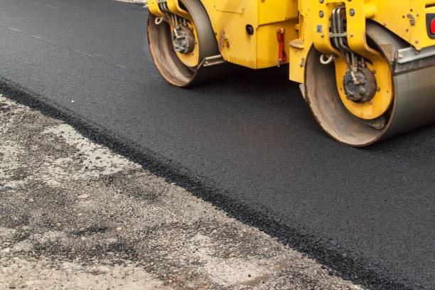Best Local Driveway Pavers  in Angustura, NM